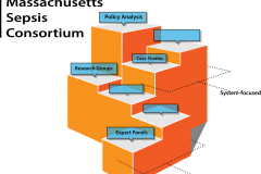 Massachusetts Sepsis Consortium - The Process B