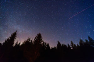 Night sky over forest trees, jet trail visible (Adobe Stock)